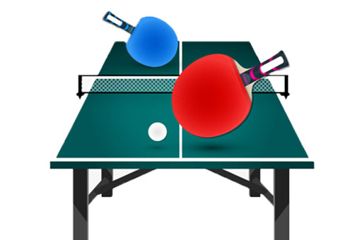 TABLE TENNIS PRO